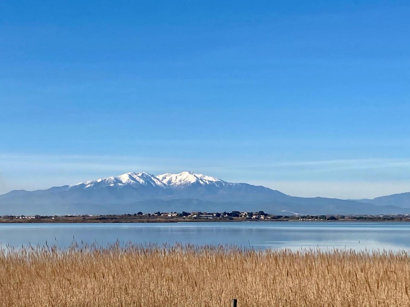 Campsite Mobil Spacieux Mar Estang 4*